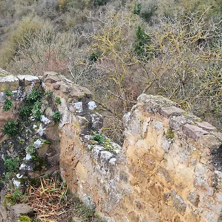 فندق Alte Pfarrey Neuleiningen