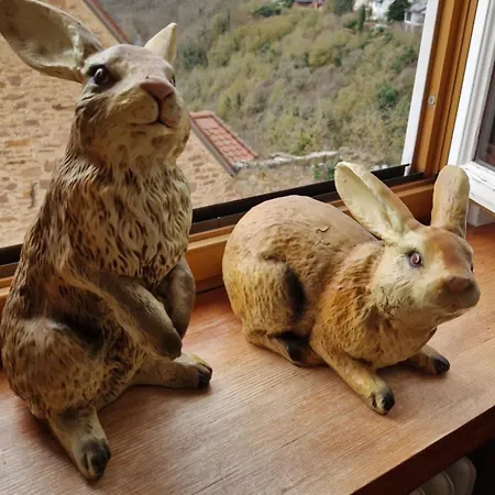 Ξενοδοχείο Alte Pfarrey *