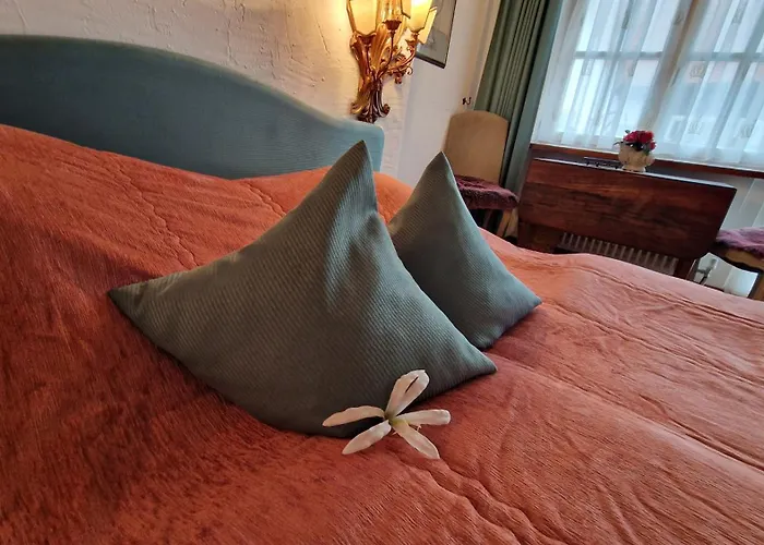 호텔 Alte Pfarrey *