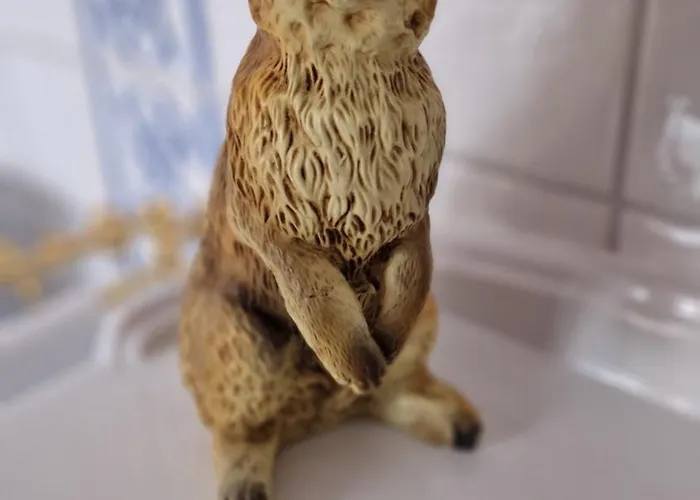 Alte Pfarrey * 뉴라이닝언